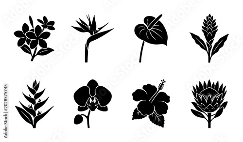 Tropical Flower Silhouettes Collection, Exotic Botanical Icons Set, Floral Vector Graphics, Nature Elements for Design