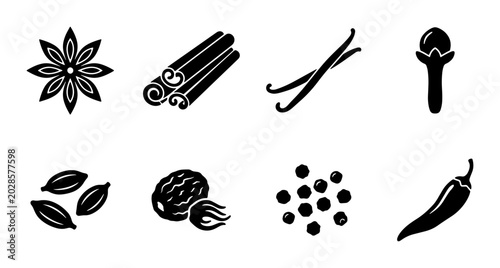 Foto Spice Icons Collection: Anise, Cinnamon, Vanilla, Clove, Cardamom, Nutmeg, Peppe