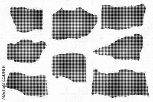 Fotografie Torn paper pieces arranged in rows on white background