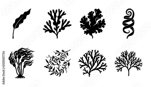 Set of 8 Black and White Seaweed Vector Illustrations, Diverse Marine Algae Silhouettes, Ocean Plant Graphics for Nature and Science Designs
