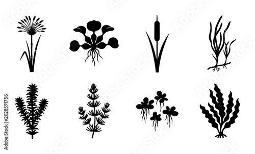 Aquatic Plants Vector Icons, Underwater Flora Silhouettes, Wetland Vegetation Graphics, Water Botanical Elements Set