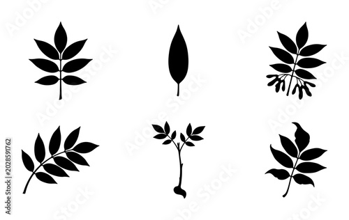 Black Silhouette Leaf Vector Set, Botanical Elements Collection, Nature Icons, Plant Sprigs, Organic Shapes for Design
