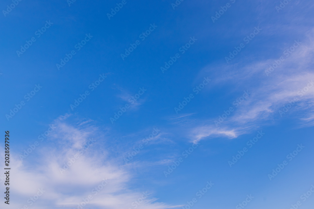 Naklejka premium 青空と靡く雲