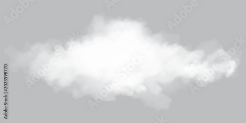 Bild auf Leinwand PrintIsolated White Cloud on Gray Background — Soft Fog, Mist and Vapor Texture