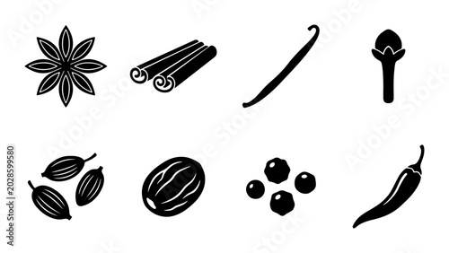 Foto Spice Icons Collection: Anise, Cinnamon, Vanilla Bean, Clove, Cardamom, Nutmeg,