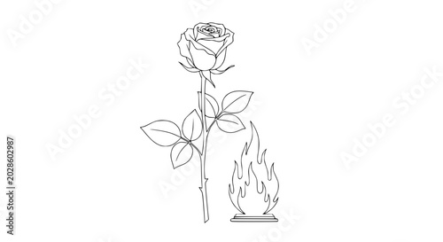Foto Single Rose Stem with Burning Flames Beside It
