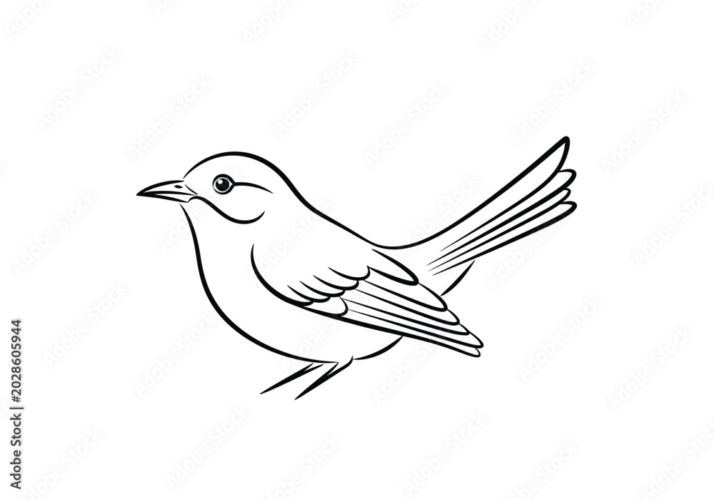 Fototapeta premium Minimalist hand drawn line art illustration of a small songbird in profile