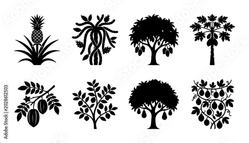 Tableau sur toile Tropical Fruit Trees Vector Icons Set, Exotic Botanical Silhouettes Collection,