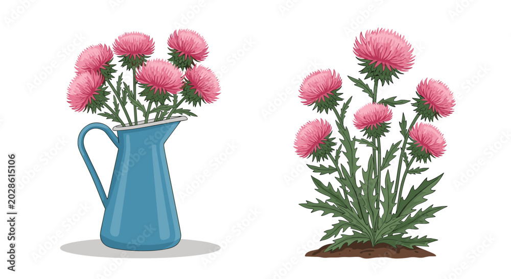 Obraz premium Vibrant pink thistle flowers are displayed in a blue ceramic pitcher alongside a natural plant growing in dark soil.