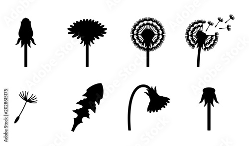 Tableau sur toile Dandelion Life Cycle Silhouettes, Seed Dispersal Icons, Botanical Vector Element