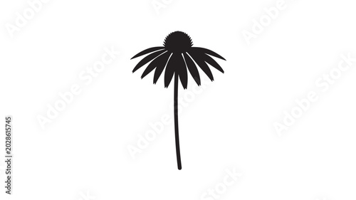 Echinacea flower silhouette icon with bold black petals and central spiky cone on white background featuring coneflower, purple coneflower, medicinal