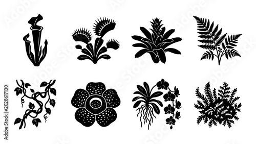 Botanical Vector Icons Set: Carnivorous Plants, Tropical Flora, Ferns, Vines, Exotic Flowers, and Orchids for Nature Designs