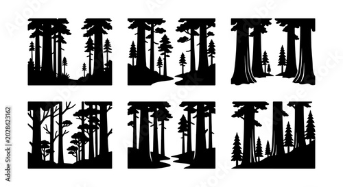 Foto Forest Silhouettes, Woodland Scenes, Nature Landscapes, Vector Graphics Set