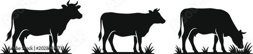 Cow silhouette vector illustration set. farm animals standing and grazing in different poses.