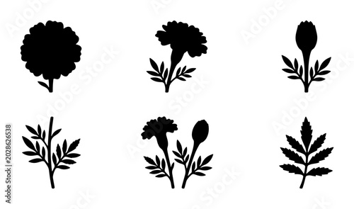 Marigold Flower Silhouettes, Vector Icons Set: Blooming Buds, Leaves, and Full Blooms for Botanical Design and Nature Graphics