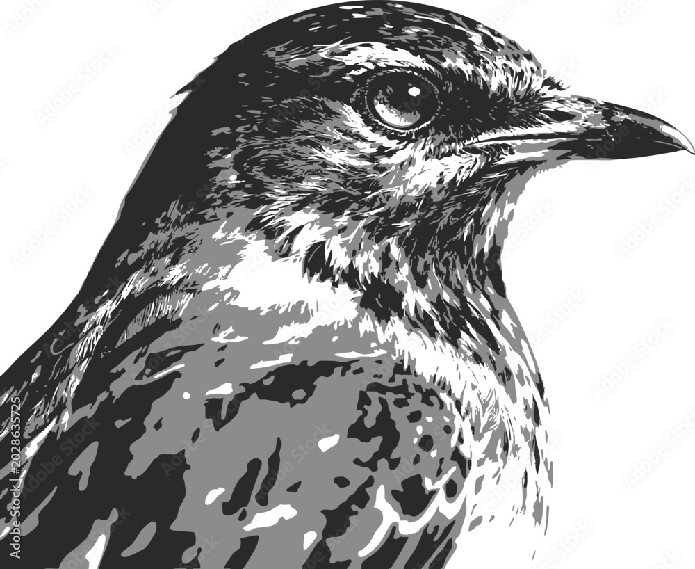 Fototapeta premium Bird 2