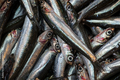 Canvas Print Fresh fish piled up at open market