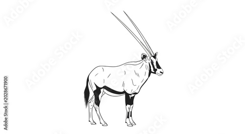 Fotografie Sable Antelope African Mammal.