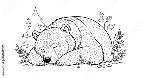 Sleeping bear in natural habitat.