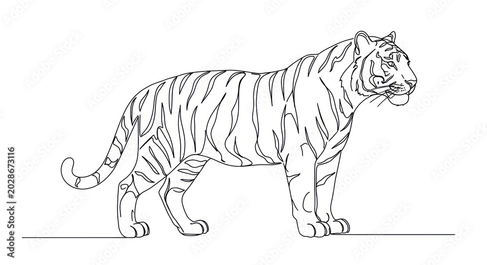Fototapeta premium An illustration of a tiger standing on a line looks around.
