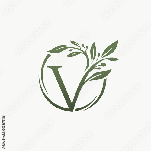 Letter V logo template 