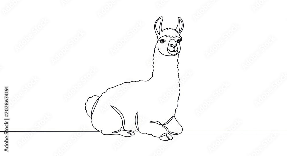 Fototapeta premium A simple line drawing of a sitting llama looking forward on a line