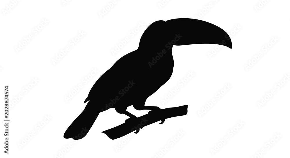 Fototapeta premium Toucan perched on branch black silhouette