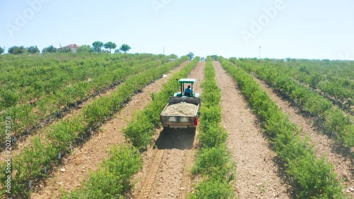 Almond Orchards Tractor Harvesting Almonds Rural Farm Field