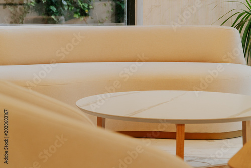Modern Minimalist Interior Design Living Room Sofa Coffee Table