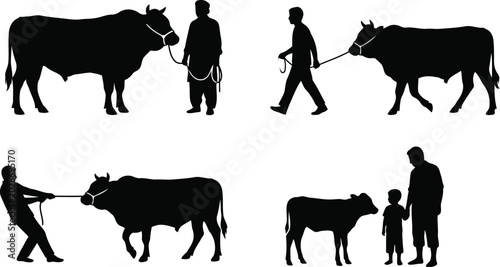 Cuadro en lienzo Pakistani and Indian Farmers with Bulls and Cow Silhouette Vector Set – South As