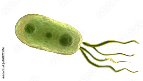 фотографія Green rod-shaped bacterium with flagella, isolated on transparent background