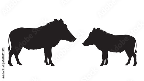 Photography Warthog silhouette vector illustration of two wild animals standing on white bac