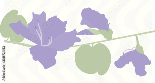 Tableau sur toile elegant serene floral background, soft botanical shapes and sophisticated fine a