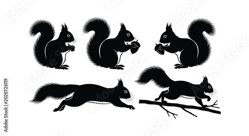 Bild auf Leinwand Five black squirrel silhouettes are shown in different poses a vector illustration against a white background