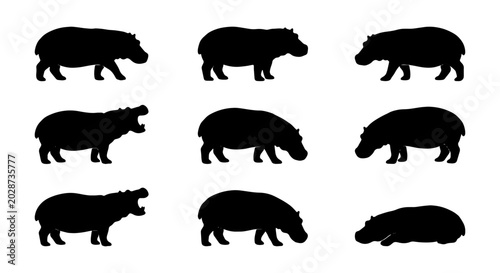 Bild auf Leinwand Nine Black Silhouette Hippopotamus Icons, Vector Set, African Wildlife Animal Gr