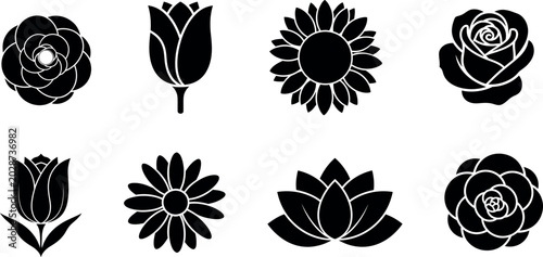Silhouette of various flowers on white background
