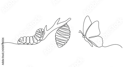 Konstfotografi Single line butterfly metamorphosis illustration with butterfly, metamorphosis