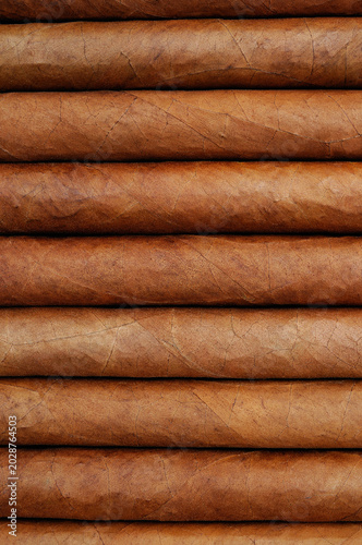 Cuban Cigars, close up