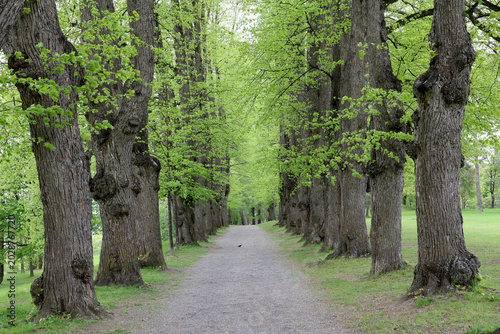 Photography Park