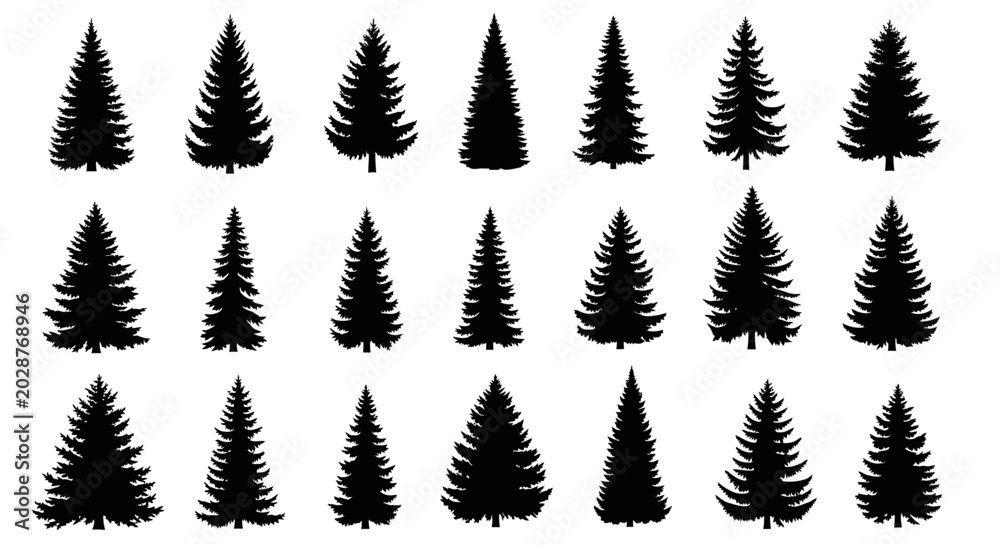 Fototapeta premium Collection of black pine tree silhouettes on white background for design and decoration purposes