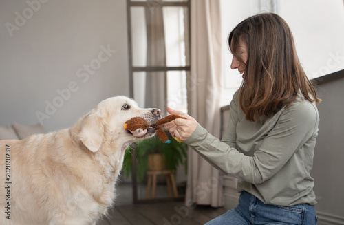 Canvas Print Young woman playing tug of war with golden retriever using monkey plush toy, both engaged in fun game at home