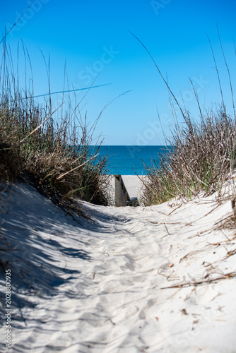 Sunlit dunes frame a tranquil ocean view