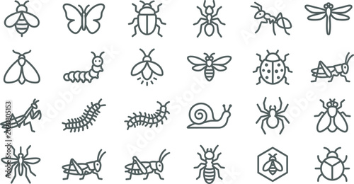 Foto A collection of various insect outline icons presented in a clean and simple vec
