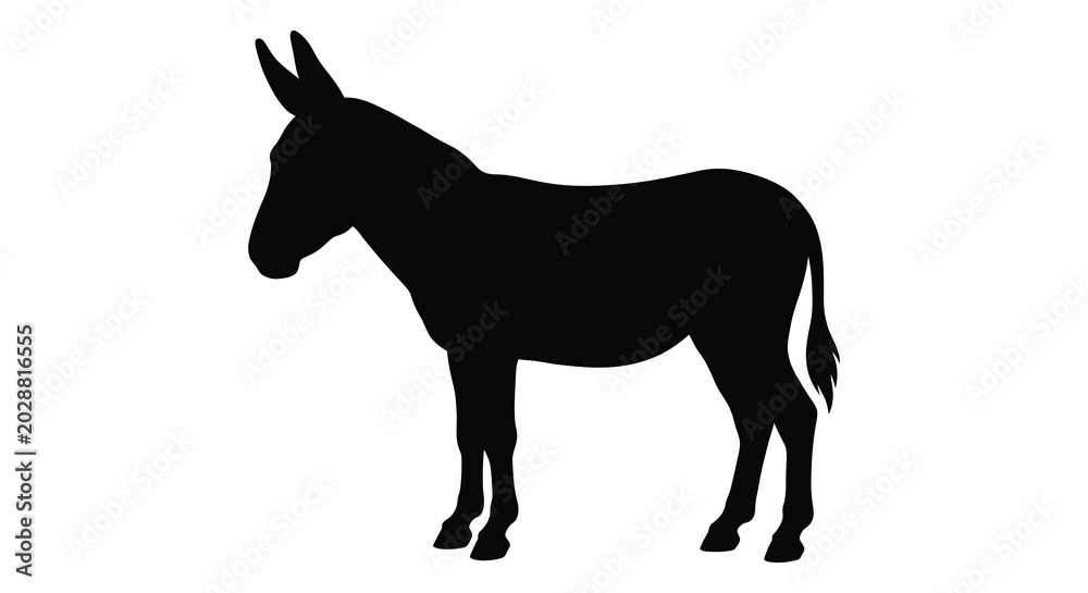 Obraz premium Donkey silhouette against a white background silhouette