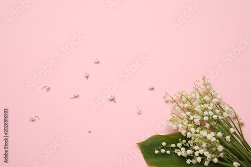 Foto Fresh lily-of-the-valley flowers with green leaves and buds on pink background,