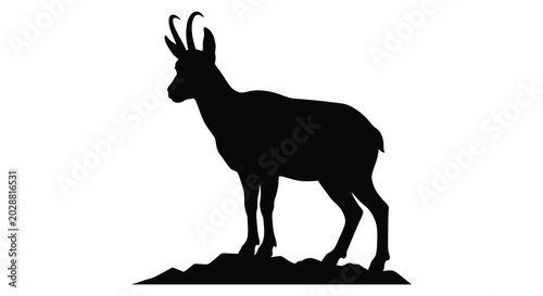 Tableau sur toile Chamois standing on rocky terrain black silhouette