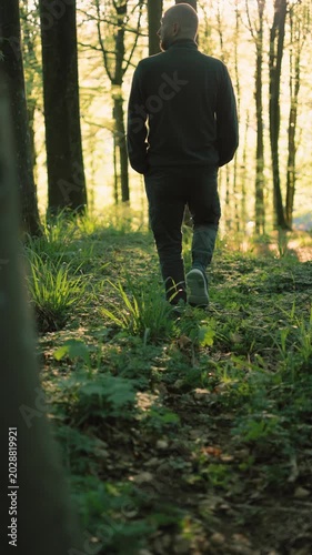 Cinematic footage of a person walking alone through a sunlit forest path surrounded by trees and fresh greenery. 