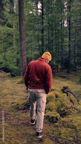 Cinematic footage of a man walking through a mossy pine forest surrounded by dense trees and untouched wilderness. Peaceful woodland scenery conveys adventure, mindfulness, exploration.