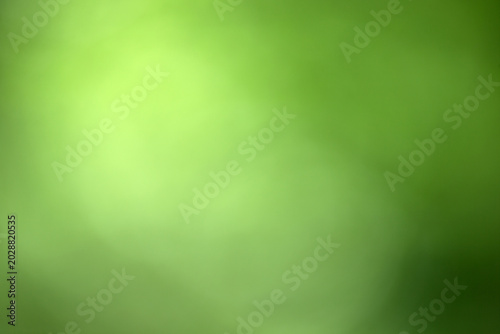 Green bokeh background from nature forest out of focus