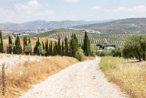 Photos gravel road in a rural landscape overlooking the city of Baena, province of Cord
